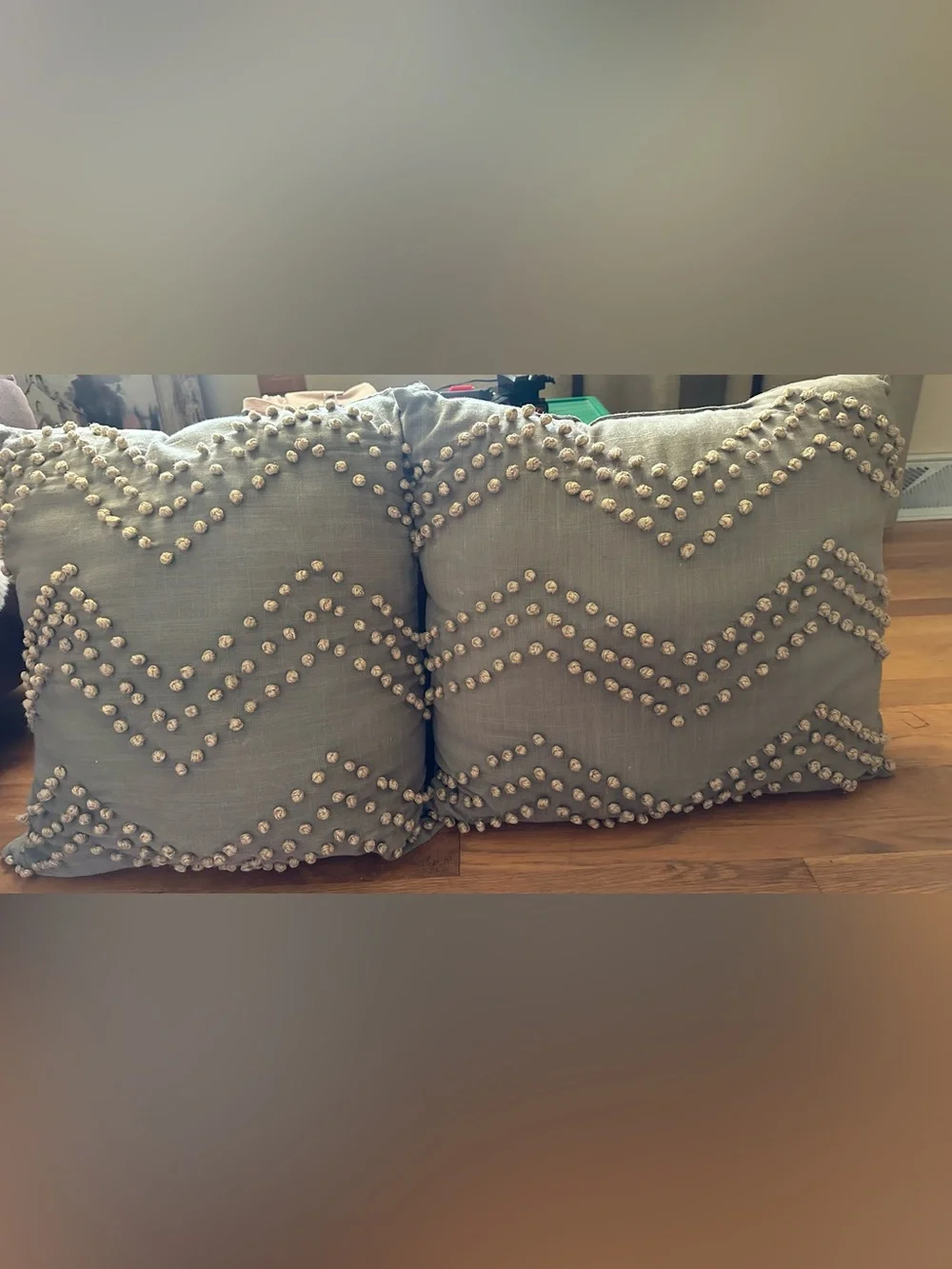 Decorative Textured Chevron Throw Pillow - Sage Green